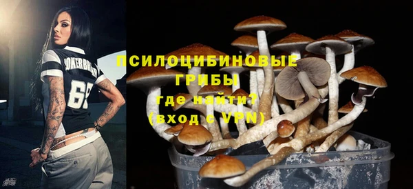 PSILOCYBIN Бугульма