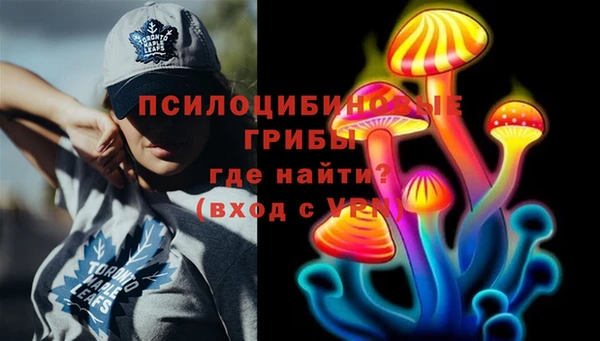 PSILOCYBIN Бугульма